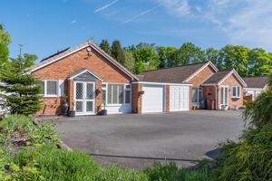 Photo 42- click for photo gallery